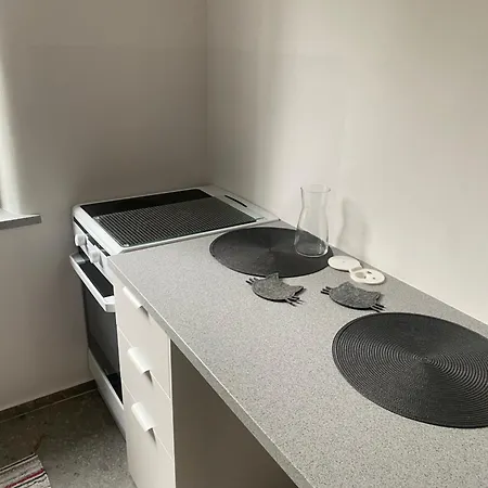 Apartment Newly Redone In Zoliborz *